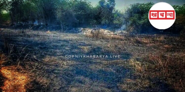 सांगली ब्रेकिंग | तब्बल दीड किलोमीटर परिसरात आग, पाच तास आगीचा तांडव, पाणी पुरवठ्याच्या पाईप आणि केबल जळून खाक