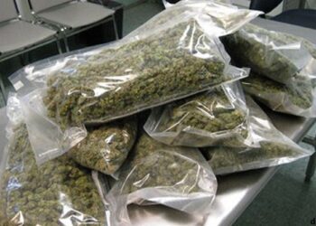 मोठी ब्रेकिंग | सांगली फाट्यावर ९ किलो गांजा जप्त, एकास अटक