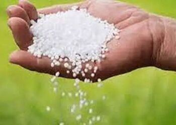 हातकणंगले ब्रेकिंग | विनापरवाना खत कारखान्यावर छापा