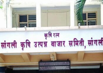 ब्रेकिंग | सांगली बाजार समितीचे त्रिभाजन तातडीने करावे; ‘या’ भाजप नेत्याची मंत्री रावल, फडणवीस यांच्याकडे मागणी