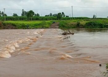 ब्रेकिंग | दत्तवाड येथील दूधगंगा नदीवरील दोन्ही बंधारे पाण्याखाली, वाहतूक ठप्प
