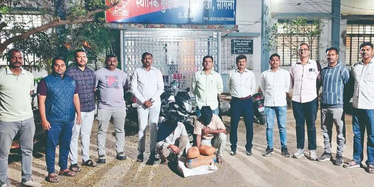 मिरज | हद्दपार असतानाही खुलेआम शहरात वावर, गुन्हेगाराकडून गांजाची तस्करी, यंत्रणेचे अपयश.?